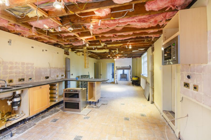 Ceiling Demolition Service detail